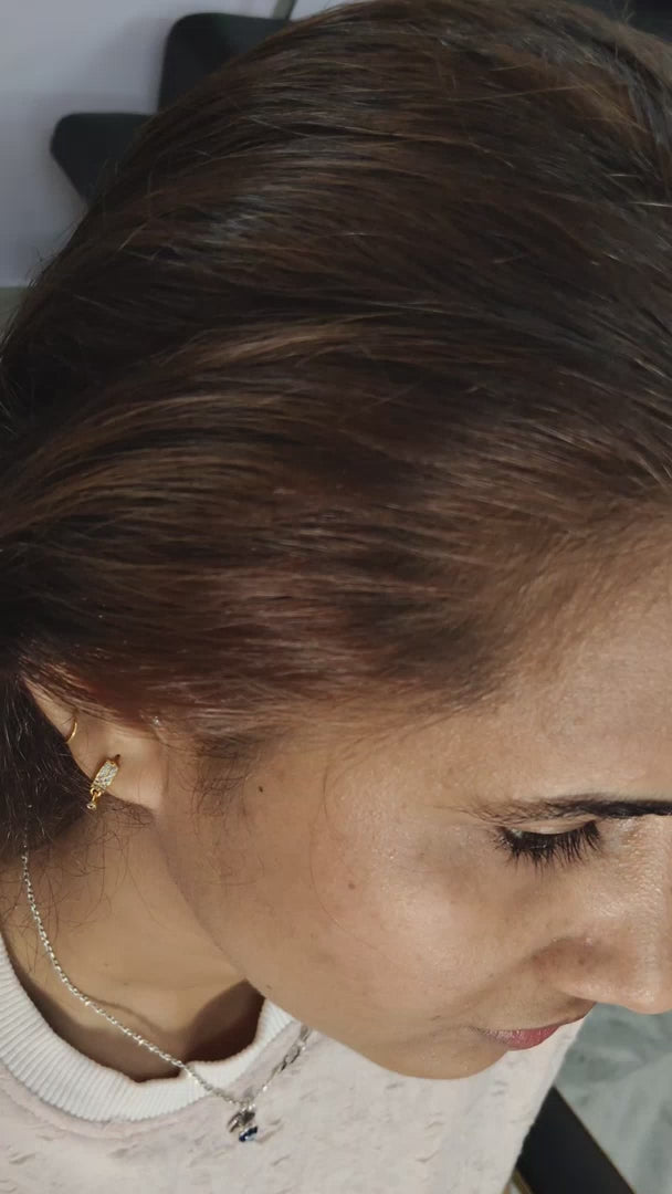 Hair shadow powder (Brown)